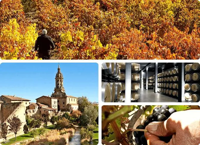 LA RIOJA, Casalarreina. Hotel 3* + desayuno + visita bodega con cata incluida. Desde 35€ pp. Hasta Diciembre